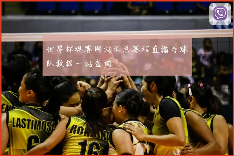 世界杯观赛网站汇总赛程直播与球队数据一站查询