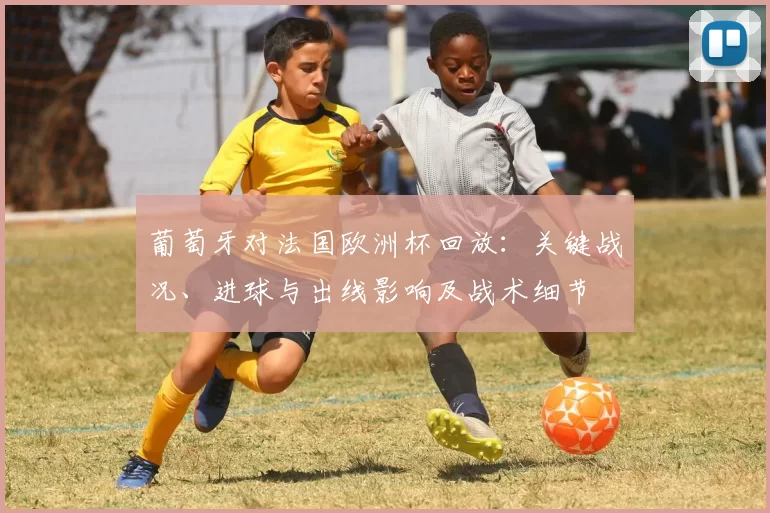 葡萄牙对法国欧洲杯回放：关键战况、进球与出线影响及战术细节