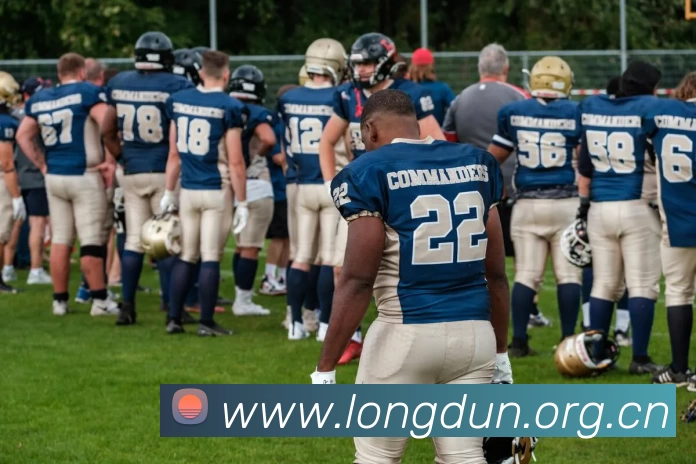 App Interface Preview